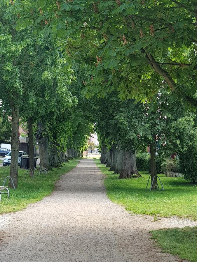 Ferienwohnung In Ostseenaehe Grevesmuehlen Exteriör bild