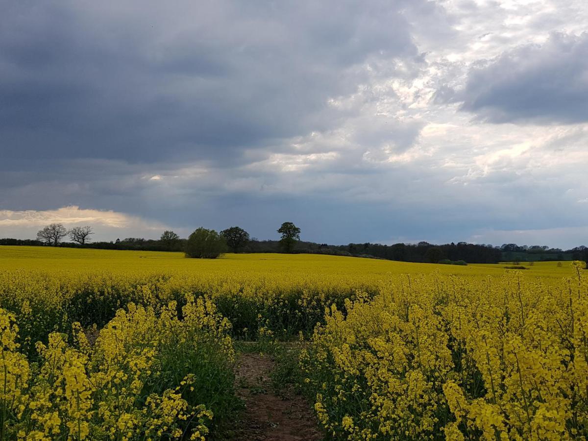Ferienwohnung In Ostseenaehe Grevesmuehlen Exteriör bild