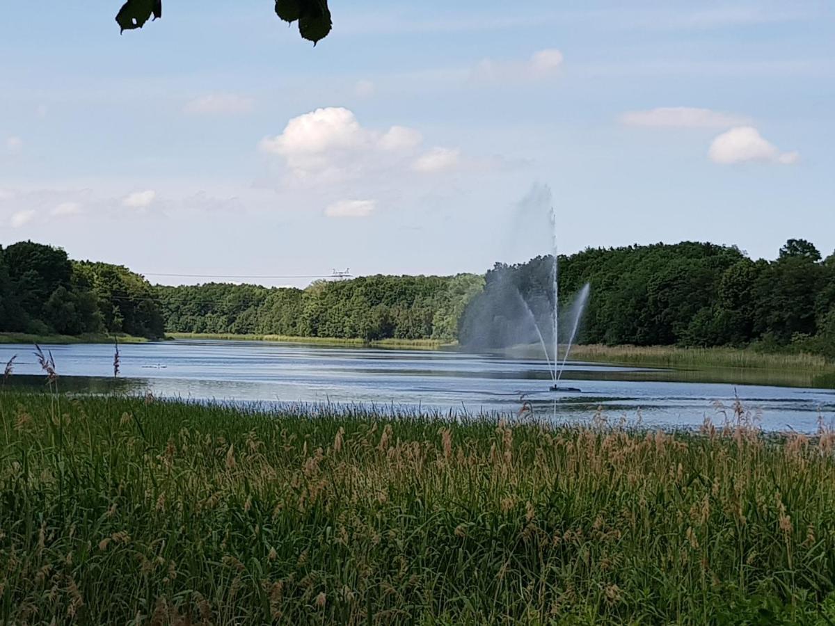 Ferienwohnung In Ostseenaehe Grevesmuehlen Exteriör bild